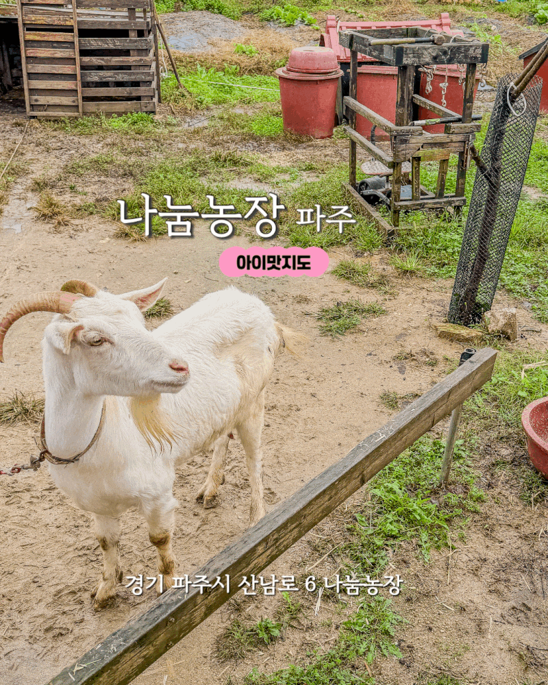나눔농장 파주 / 입장료 가격, 예약 / 아이랑 동물 먹이주기 /수확 체험 총정리