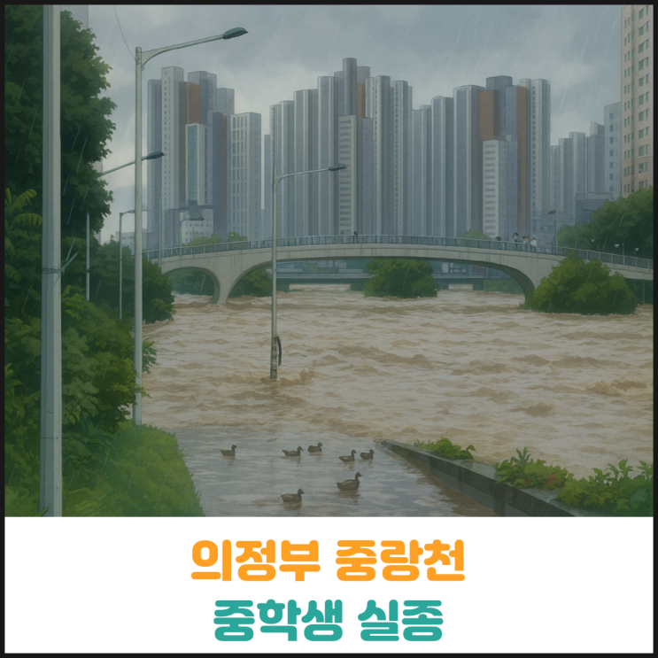  의정부 중랑천에서 중학생 실종