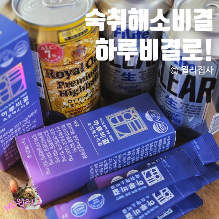  하루비결 숙취해소제 숙취해소환 추천