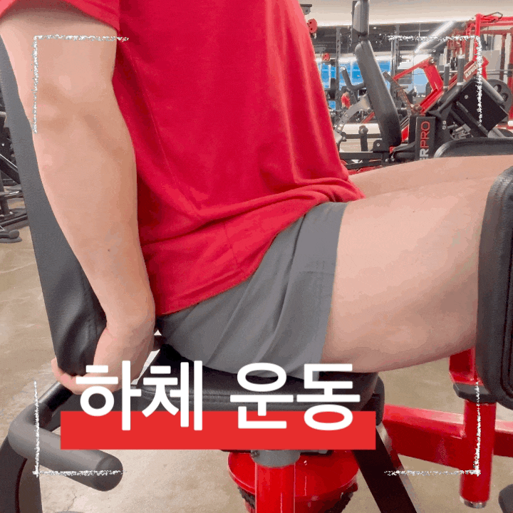  허벅지와 엉덩이 탄력 키우는 힙 어브덕션 하체 루틴