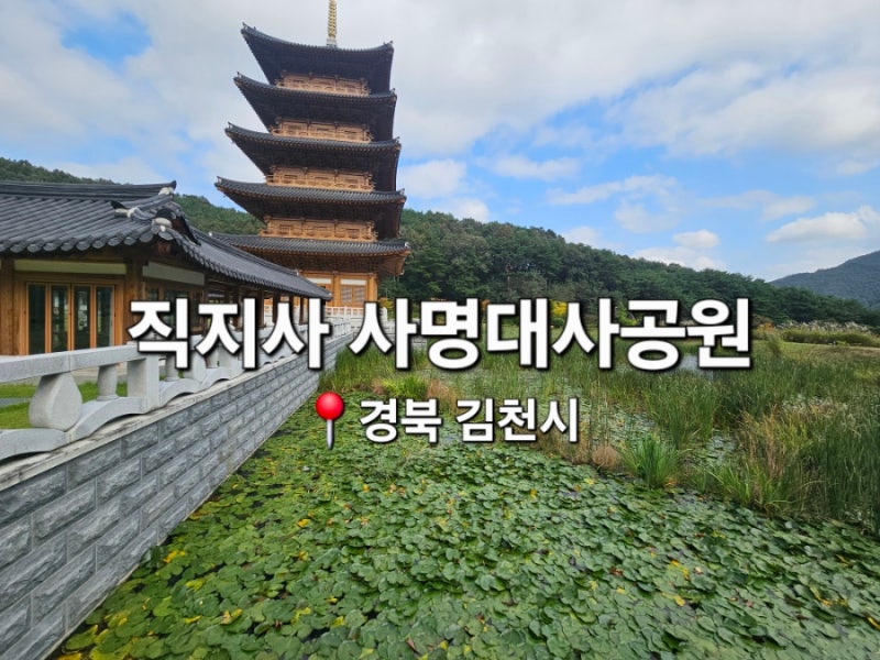 카페솔향