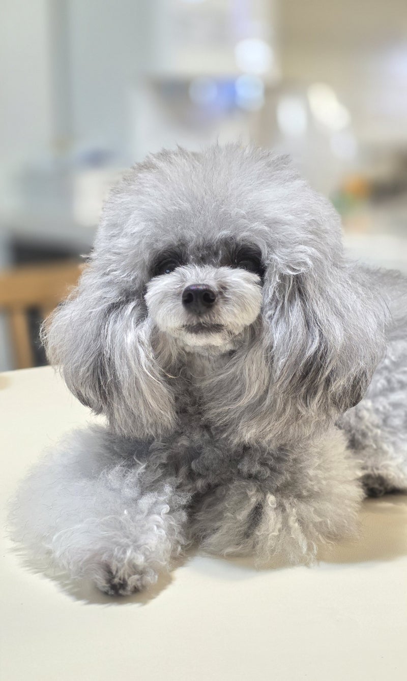 사진 9