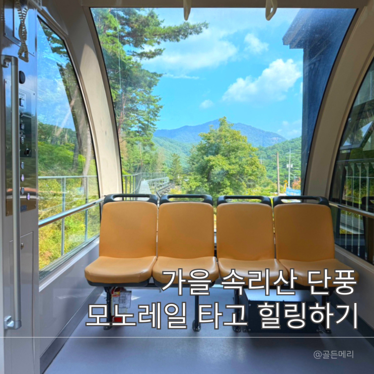  충북 가볼만한곳 속리산 테마파크 모노레일 목탁봉 카페 루프탑 전망대