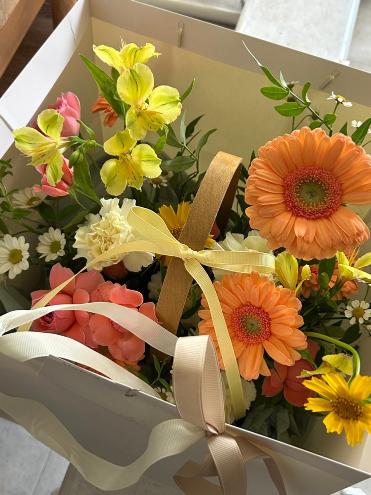  남자친구 부모님 첫인사 선물 추천 리스트 | 실패 없는 가격대별 정리+실제후기