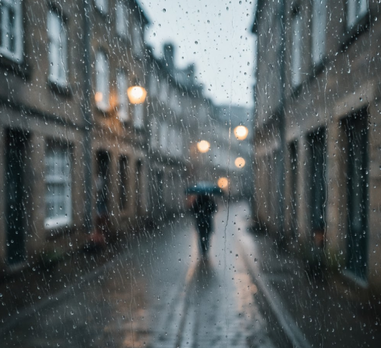  실비(絲雨)