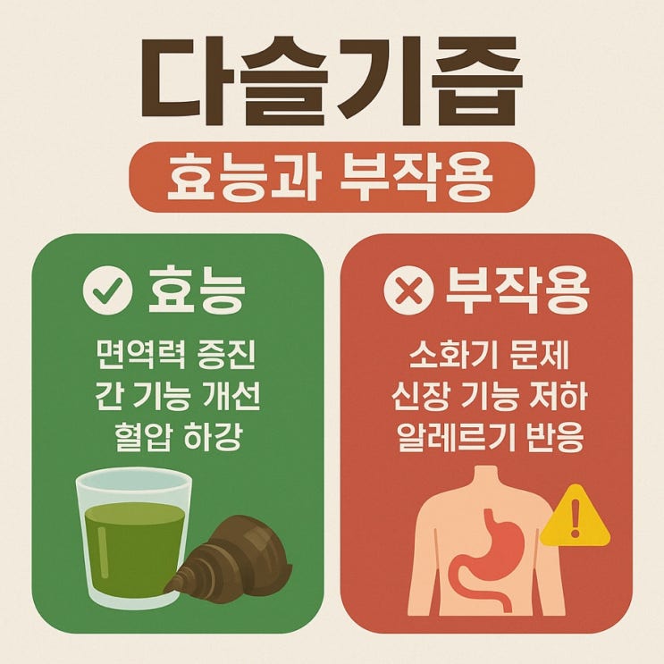  다슬기즙 효능과 부작용 총정리｜간 해독·숙취 해소·피로 회복에 좋은 이유 완벽 분석!