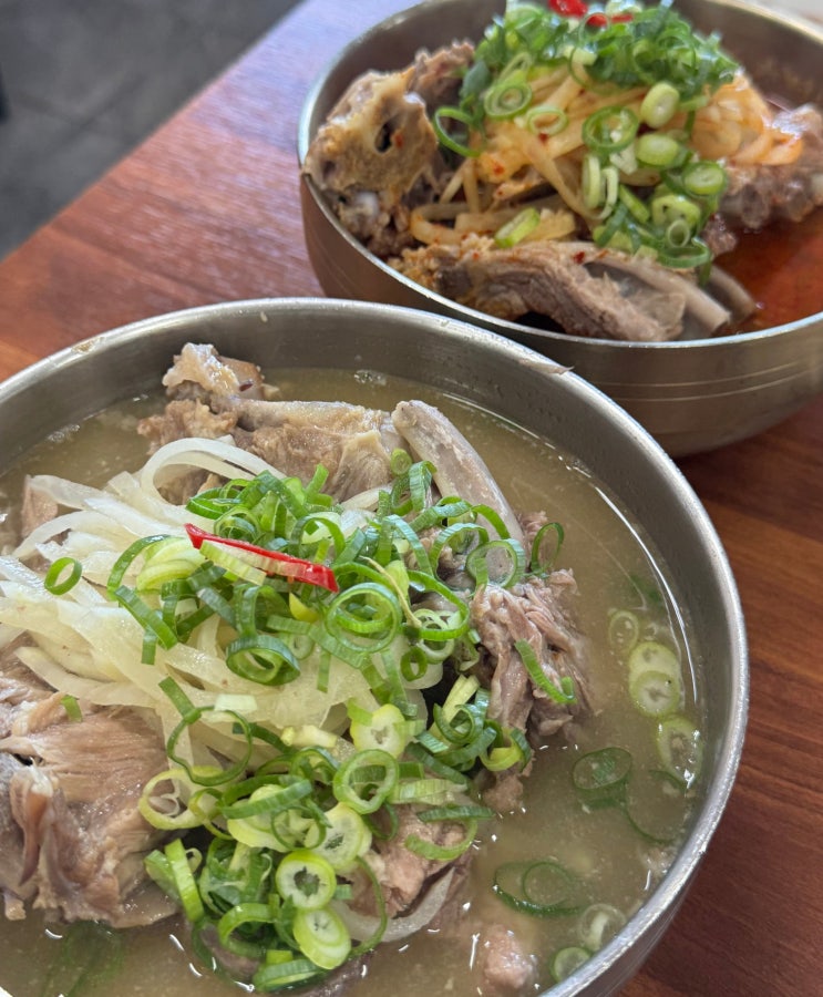 [제주공항 근처 맛집] ‘용두네 해장국’ 접짝뼈국 솔직후기 속까지 풀리는 제주 해장 맛집