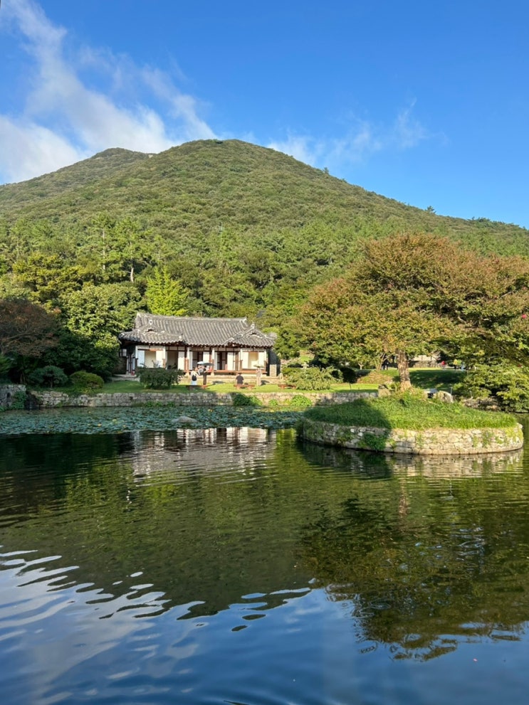  진도 운림산방 | 자연과 예술이 어우러진 진도가볼만한곳 국내여행지추천
