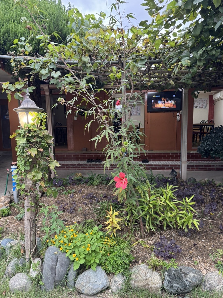 Sinseonjip photo 6