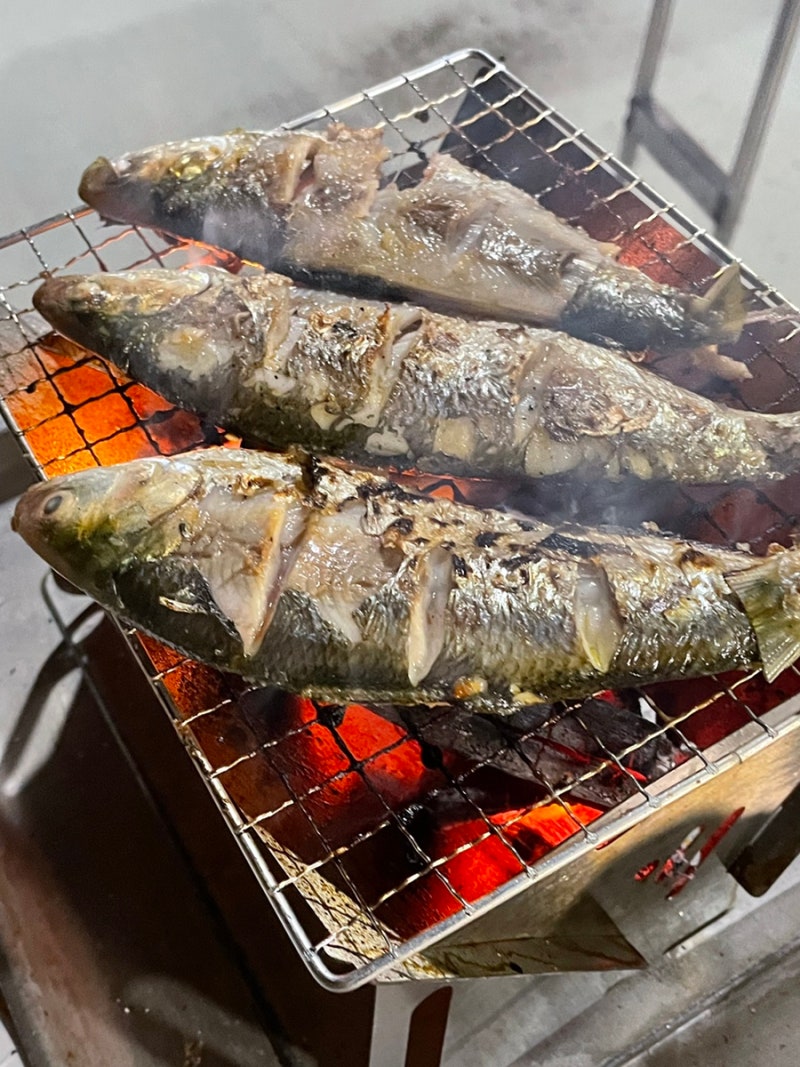 다이소 캠핑용품 추천 [조립식 미니 화로대] 구매 사용 후기