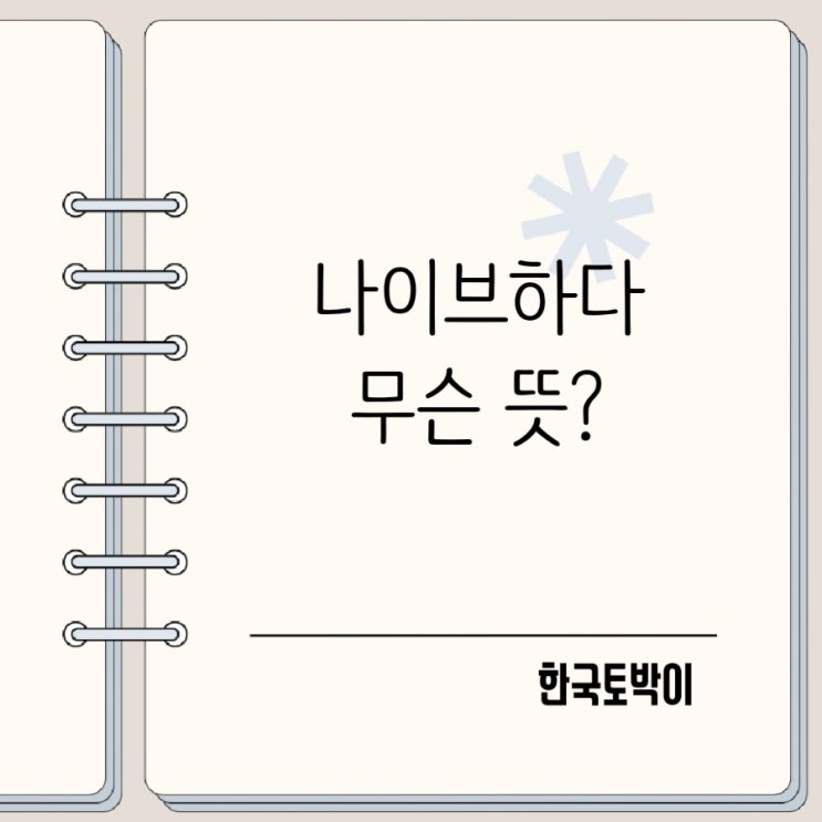  한국식 나이브 vs 영어 naive, 뜻 완전 다릅니다