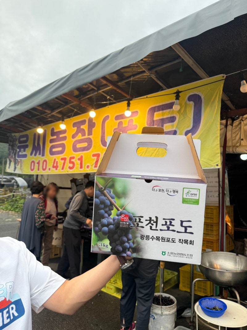 포천 광릉수목원 포도, 소흘읍, 3KG 27,000원
