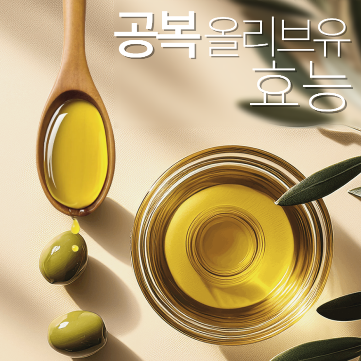  공복 올리브유 효능 효과 5가지 먹는법