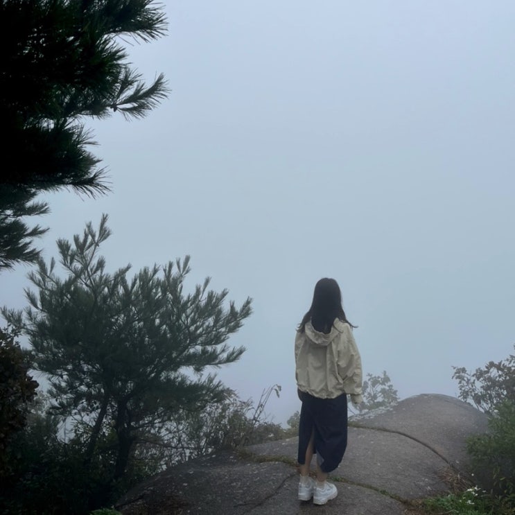  대구 가볼만한곳 대구 비슬산 전기차 투어버스 셔틀버스 대견사 (주차꿀팁, 요금, 시간) 대구 가을 나들이