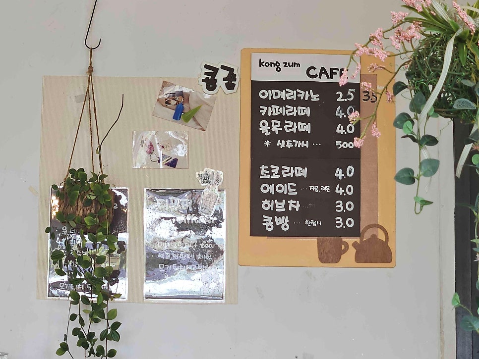 콩줌 사진 2