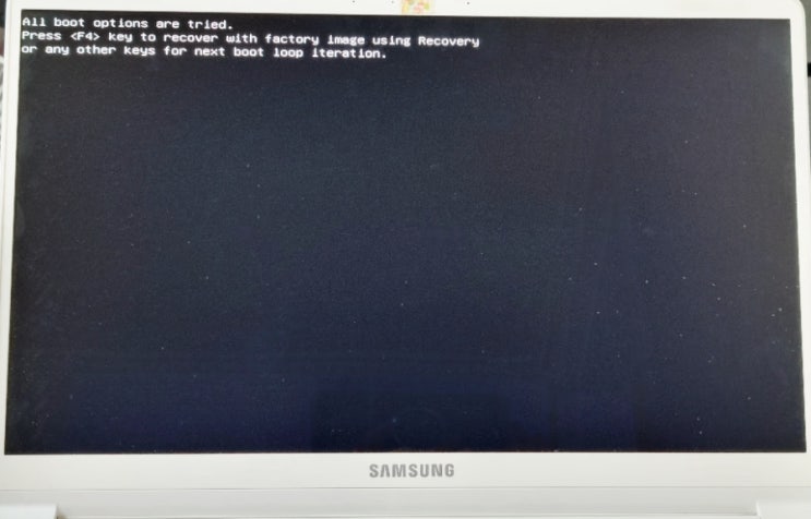  삼성 노트북 부팅이 안될때 All boot opt ions are tried. Press F4
