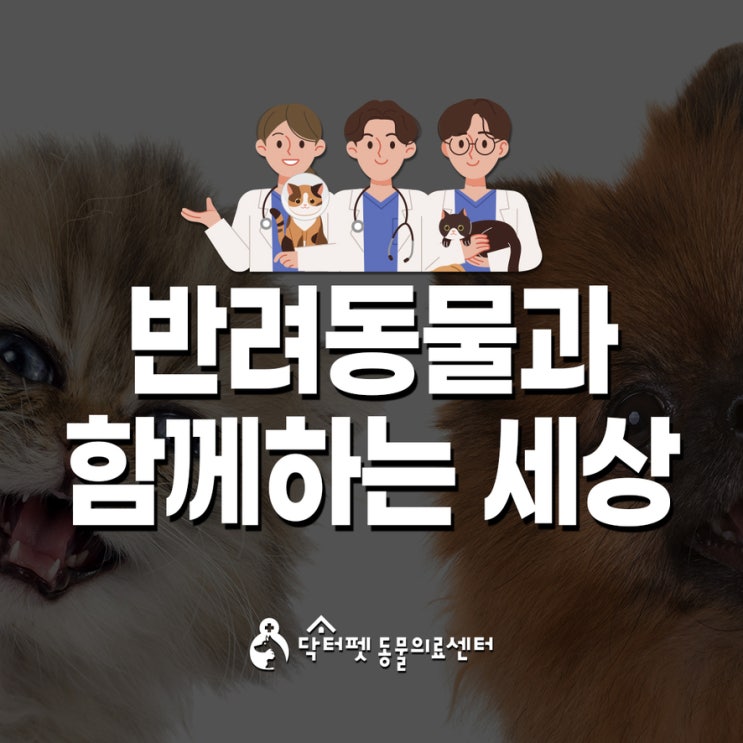  반려동물과 함께하는 세상 대한민국에서 강아지 고양이 가족으로 살아가는 사람들에 대한 이야기 KB경영연구소 반려동물 보고서 2025