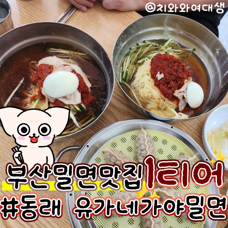  부산밀면맛집 유가네가야밀면 동래밥집