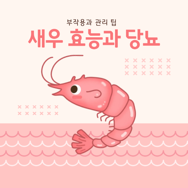  새우 효능 당뇨 부작용과 관리 팁