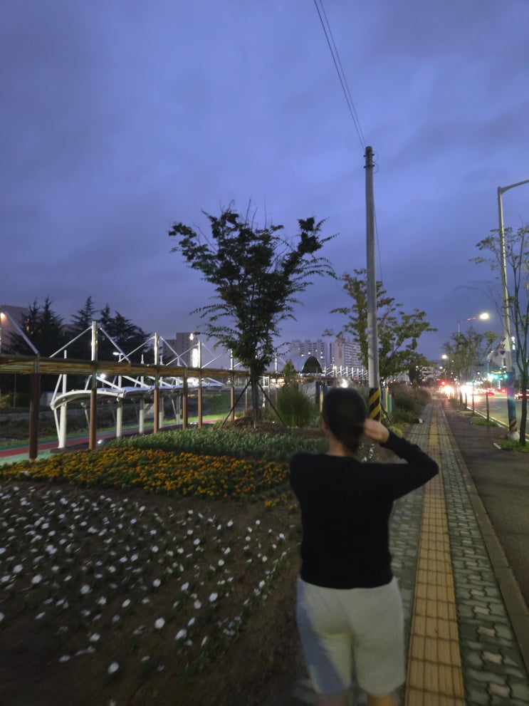  [일상] 울산 북구 저녁 산책 코스 추천(울산숲) 산책 야경 후기