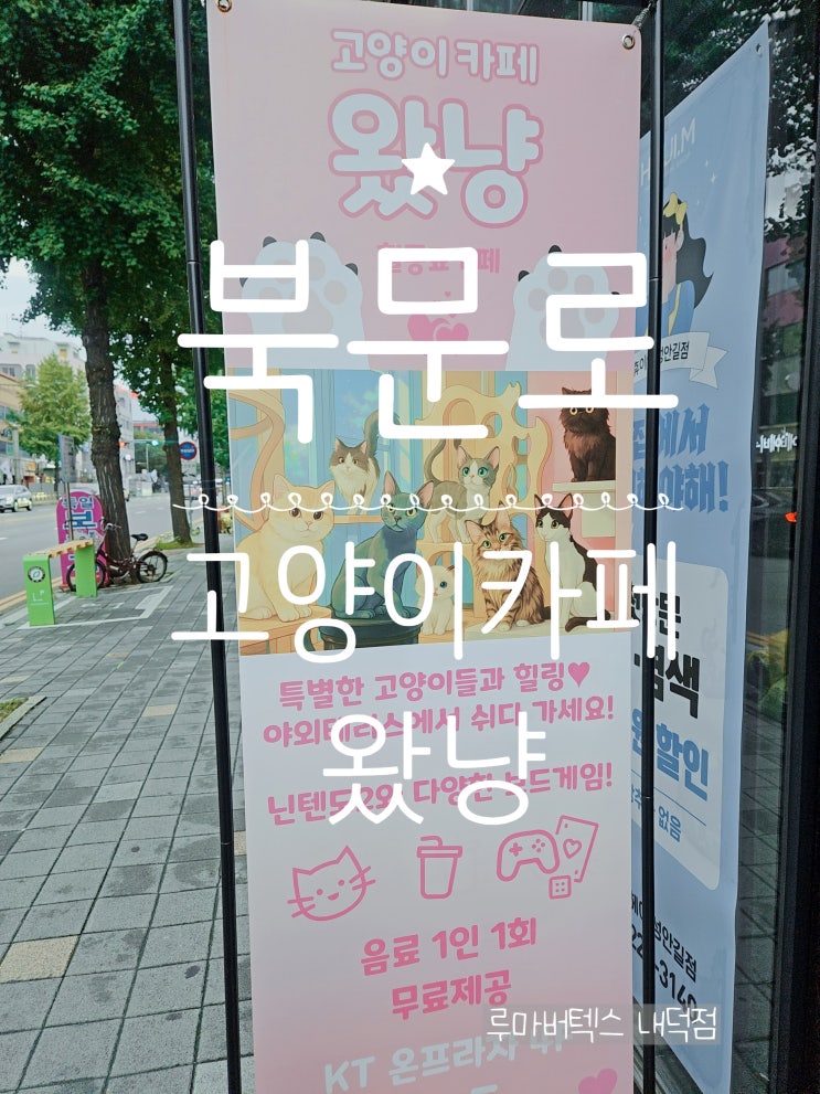  청주아이랑 이색데이트 교감하기 좋은 고양이카페왔냥