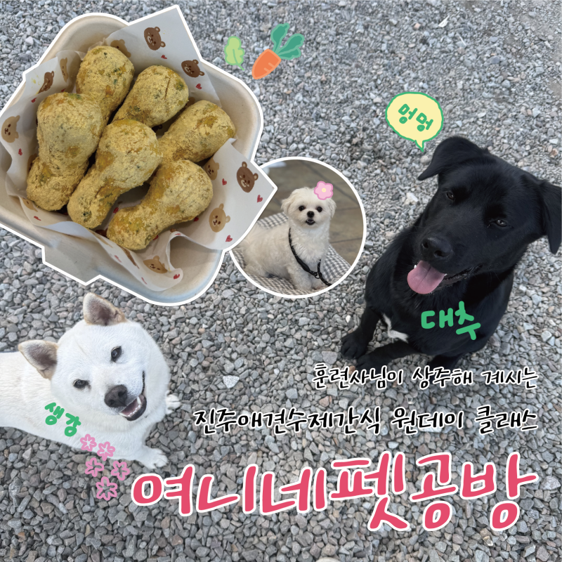 사진 2