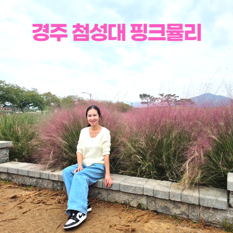  경주 첨성대 핑크뮬리 10월 (주차장 정보)