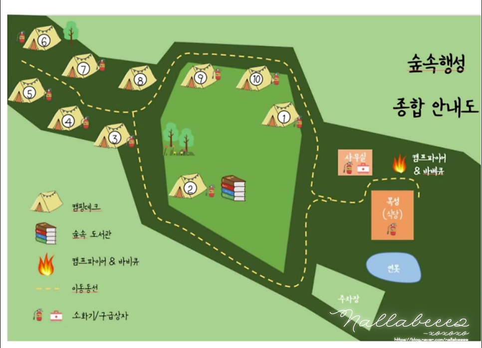 숲속행성 사진 5