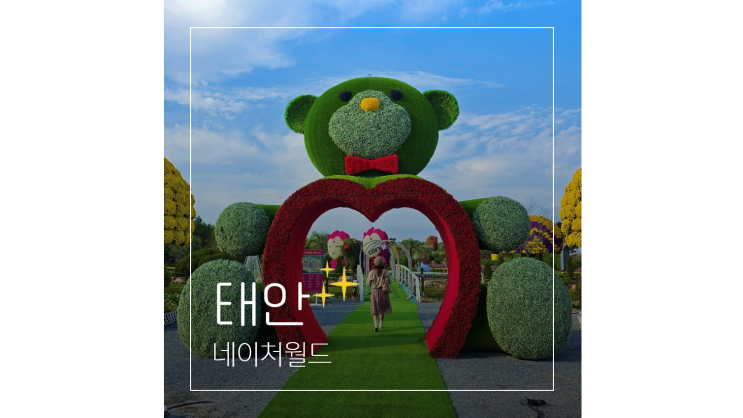  태안 가을꽃박람회 빛축제 네이처월드 서울근교 충남 당일치기 나들이