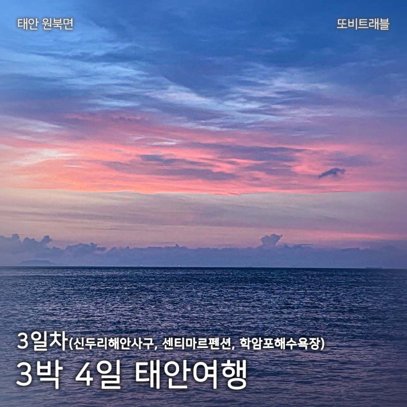태안여행 3일차 신두리해안사구 센티마르펜션 학암포해수욕장 학암포방파제 10월 물때