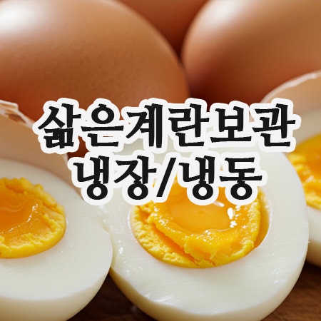  삶은 계란 보관 이렇게만 하면 일주일도 거뜬해요! 냉장고·냉동 완벽 가이드