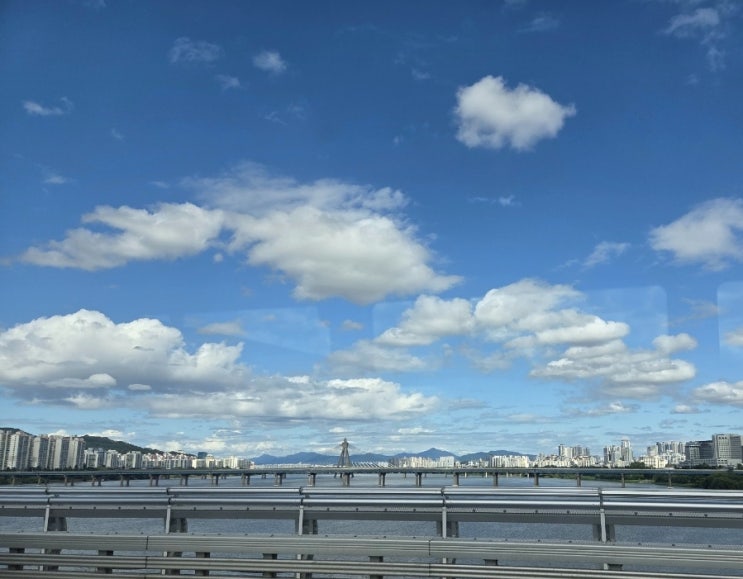  이제 지겨운 비