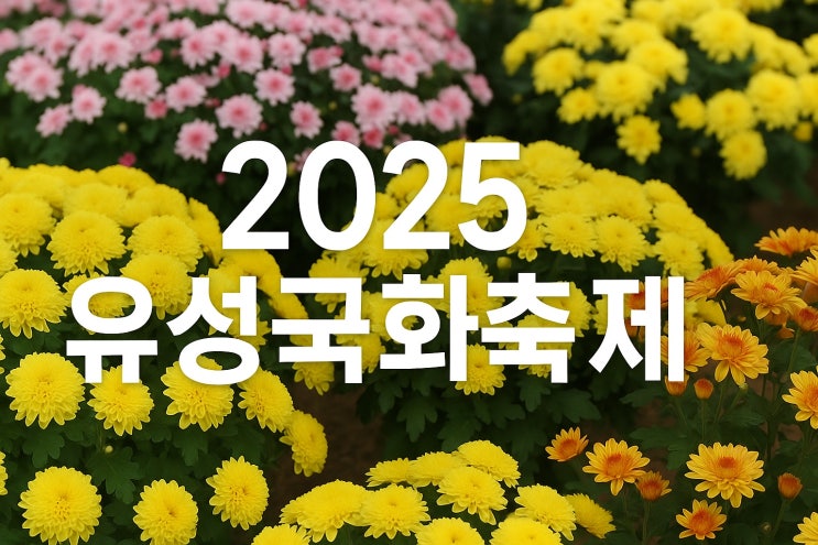  2025 유성국화축제 가이드_축제 일정·프로그램·주차