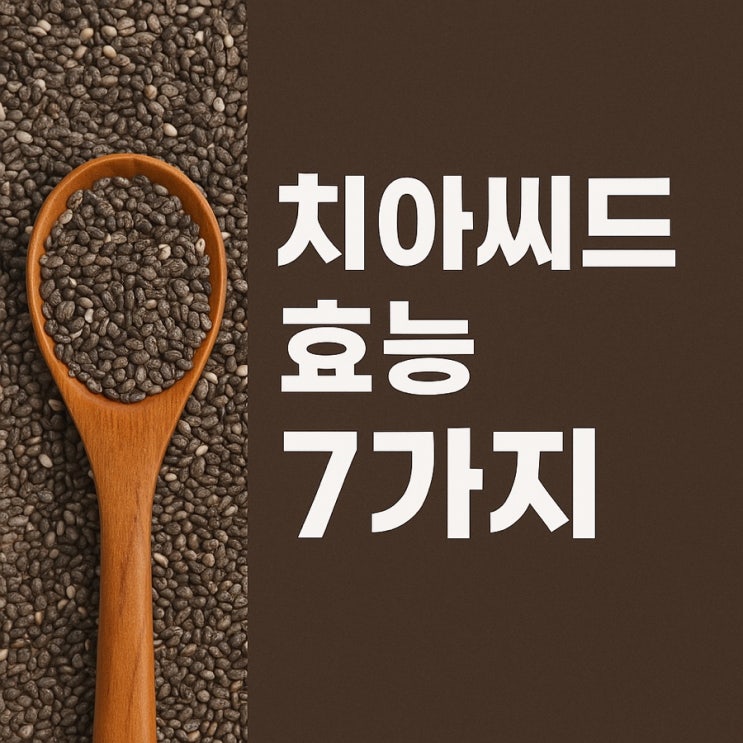  치아씨드 효능 7가지  다이어트·피부·혈당까지 한 번에 잡는 슈퍼푸드!