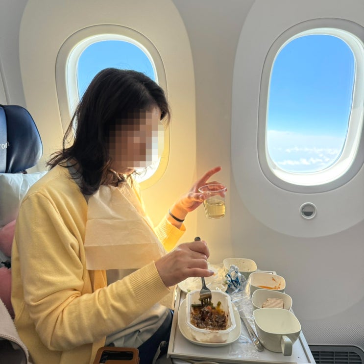  인천 취리히 대한항공 직항 KE917 기내식 메뉴와 시간은?