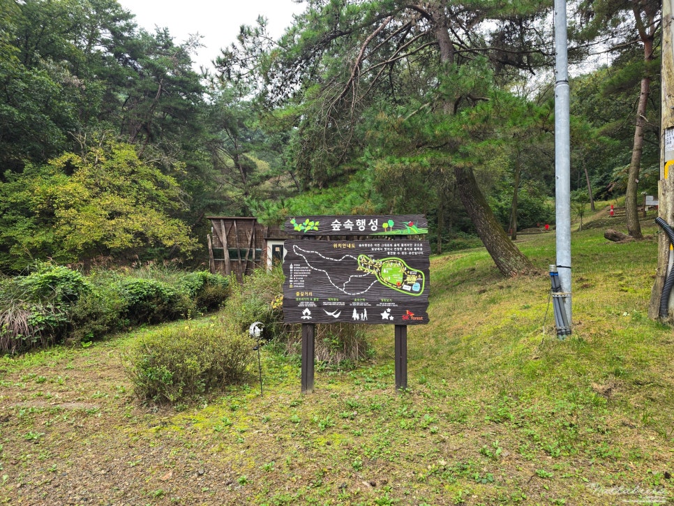 숲속행성 사진 1
