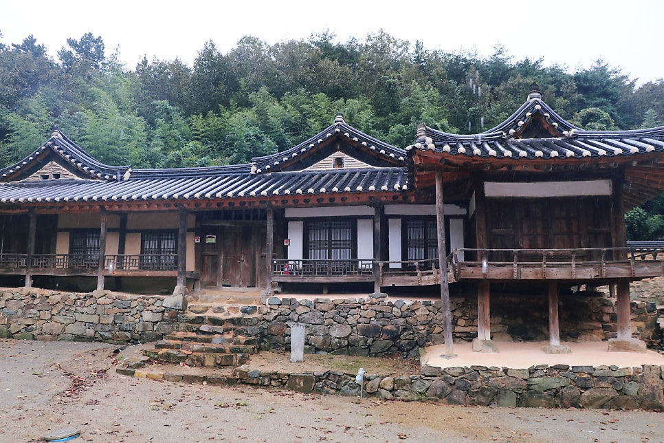 산수정 사진 3