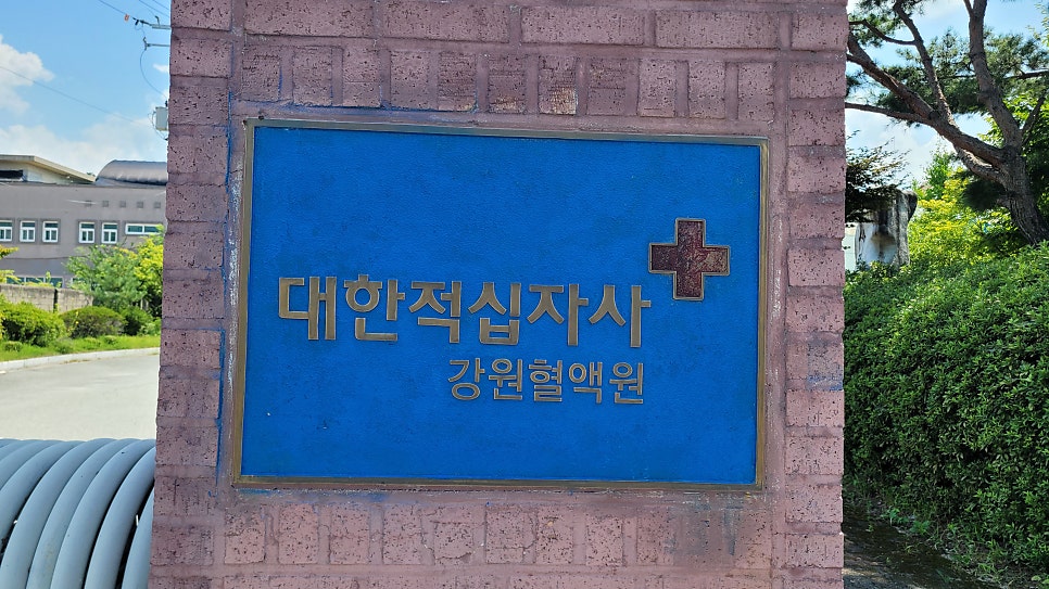티오빈 사진 1