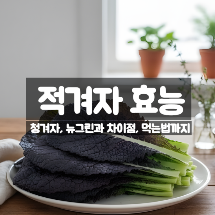  적겨자 효능 부작용 먹는법 – 청겨자 뉴그린 비교까지