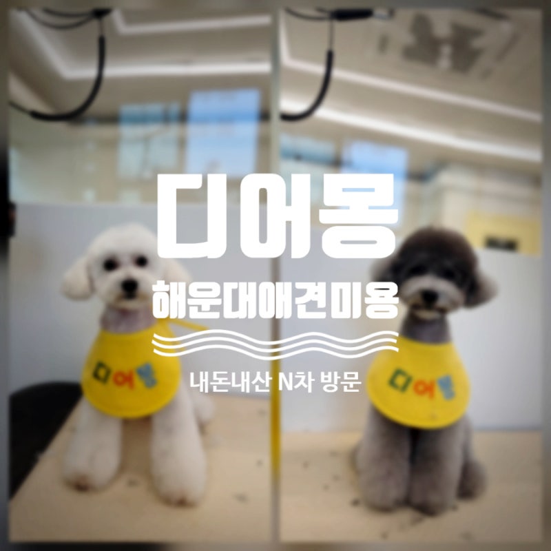 디어몽