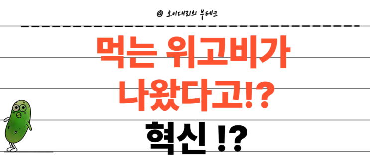  먹는 위고비 위고프로 혁신일까!