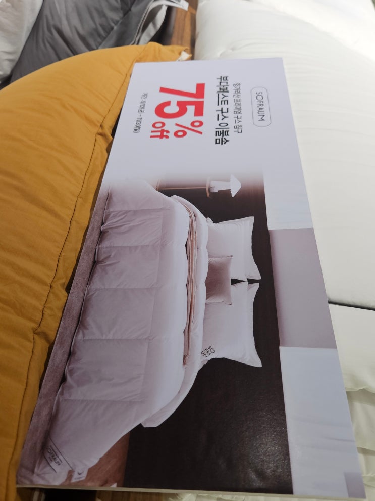  [일상] 부산 소프라움 롯데몰 메종동부산점 구스 이불 및 패드 구매 후기(가격, 할인정보, 견적서)