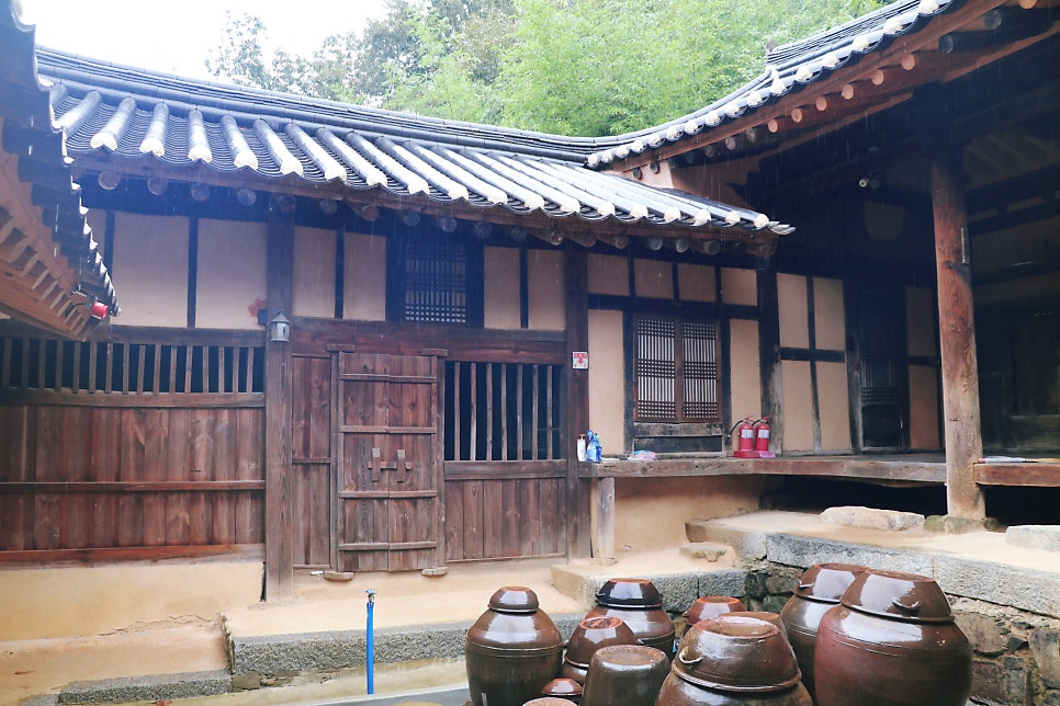 산수정 사진 6