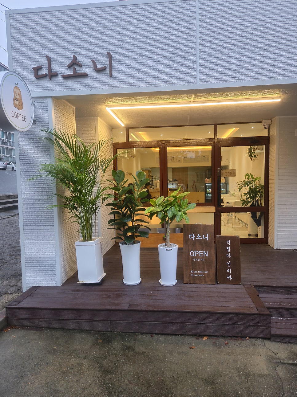 다소니 사진 2