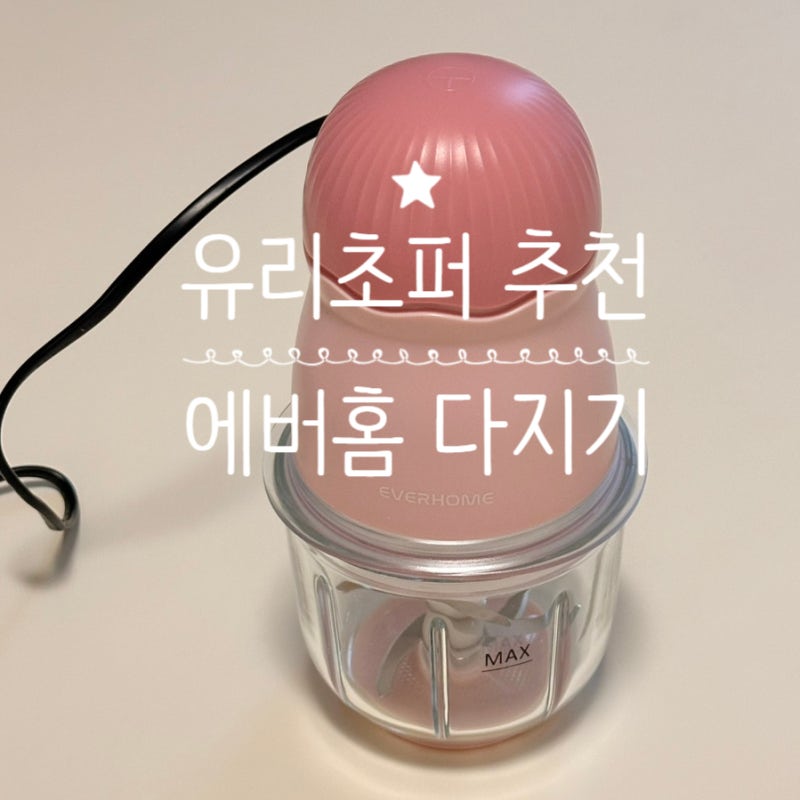 이유식 유리초퍼 에버홈 다지기 내돈내산 여러제품비교!