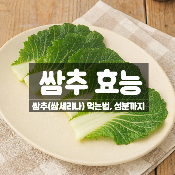  쌈추 효능 부작용 먹는법 – 배추와 양배추의 교잡종 쌈 채소