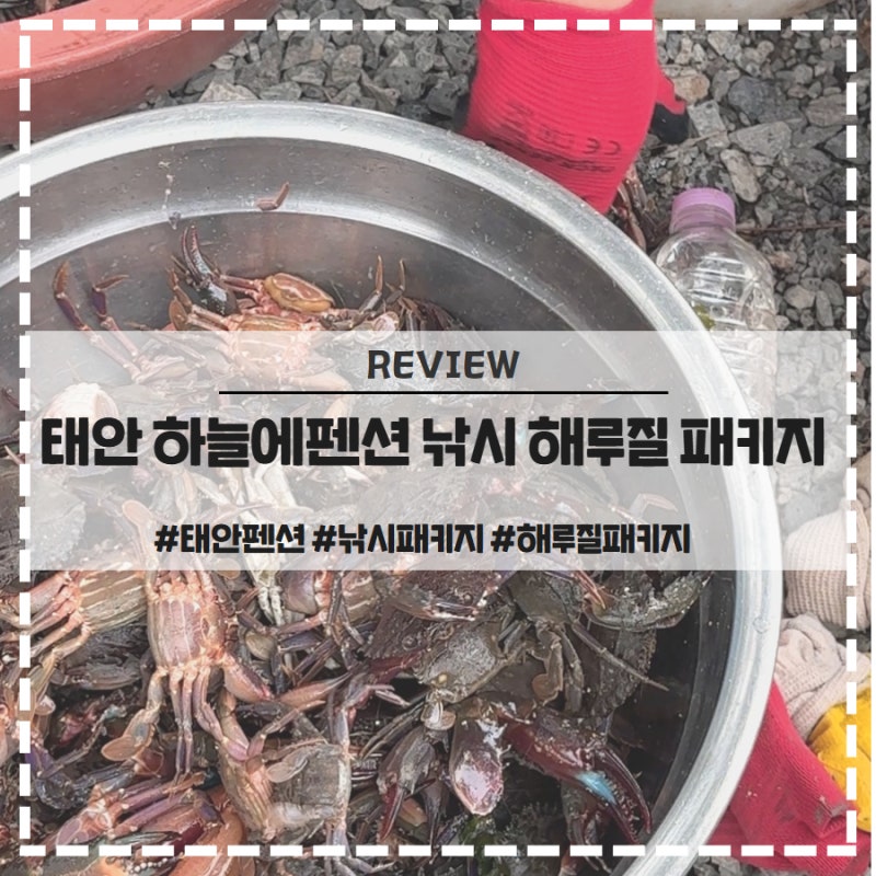 태안 하늘에 펜션 낚시 해루질 10만원 패키지 후기 예약방법