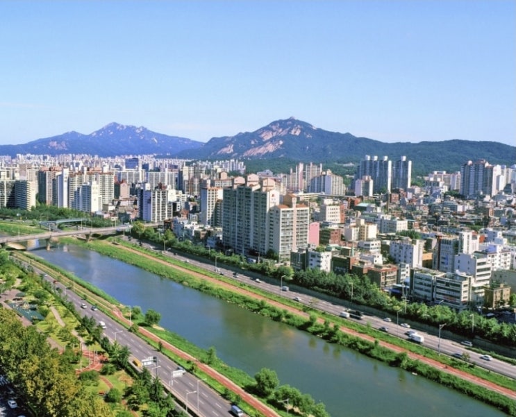 의정부 <b>중랑천</b>서 <b>중학생</b> 1명 불어난 물에 휩쓸려 <b>실종</b>…수색 중