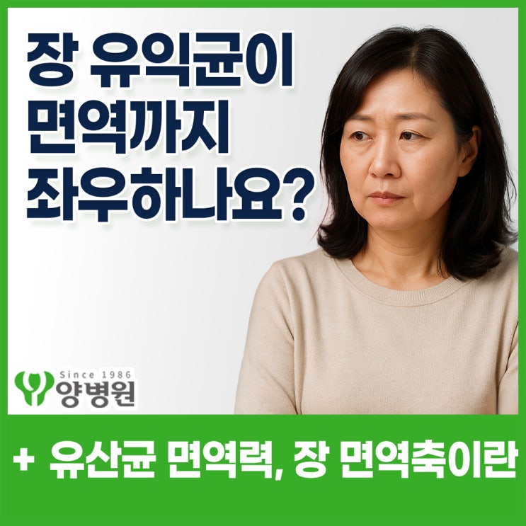  감기 자주 걸리세요? 장 속 유익균이 약해졌을 수도 있습니다 - 장 면역축 이야기 | 강동역 건강검진센터