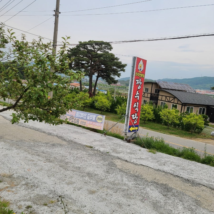 원조장수식당 사진 2